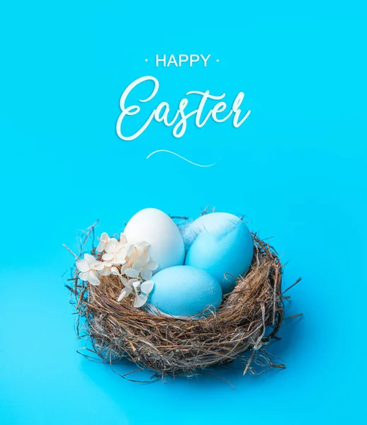 Nest Colored Easter Eggs Blue Background Concept Happy Easter Side Stock Photo