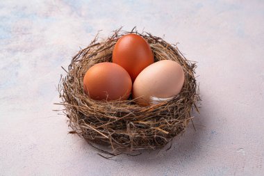 Hafif arka planda bir yuvada üç tavuk yumurtası. Üst görünüm, yakın çekim.