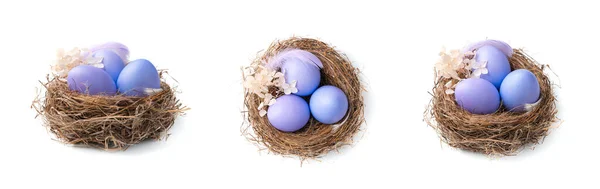 Trzy Gniazda Fioletowymi Jajkami Wielkanocnymi Pod Różnymi Kątami Koncepcja Wielkanocy — Zdjęcie stockowe