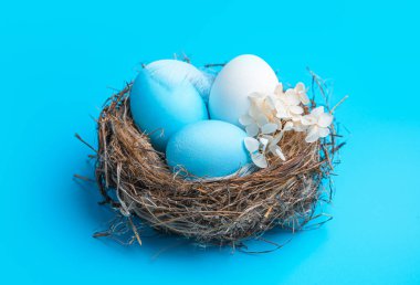 Mavi arka planda bir yuvada üç Paskalya yumurtası. Paskalya geçmişi. Yan görünüm, yakın plan.