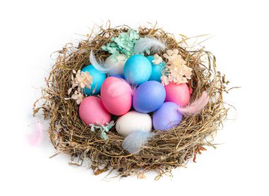 Beyaz arka planda tüyleri ve çiçekleri olan bir yuvadaki renkli Paskalya yumurtaları. Yan görüş, yakın çekim. Paskalya konsepti.