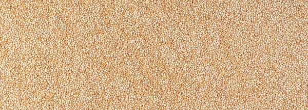 Vita Frön Användbar Quinoa Kulinarisk Bakgrund Panorama Horisontell — Stockfoto