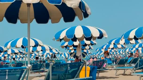 Vita och blå paraplyer blåsta av vinden på stranden — Stockvideo