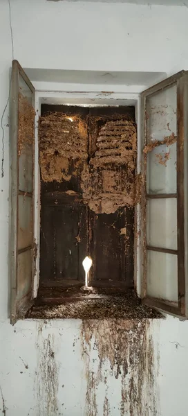 Window Abandoned House Hornet Wasp Hive High Quality Photo — Stock Photo, Image
