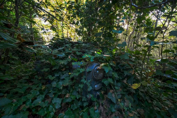 빈티지버려진 아이비로 뒤덮여 이탈리아의 식물을 오르고 있습니다 고품질 — 스톡 사진