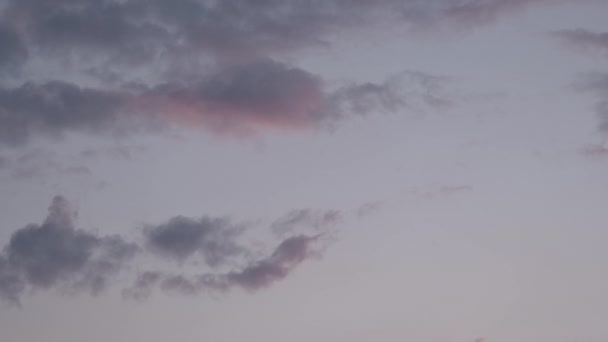 Хмари Заході Сонця Рожевим Небом Пробудженням Літака — стокове відео