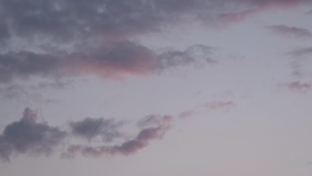Хмари Заході Сонця Рожевим Небом Пробудженням Літака — стокове відео
