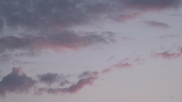 Clouds Sunset Pink Sky Airplane Wake — стоковое видео