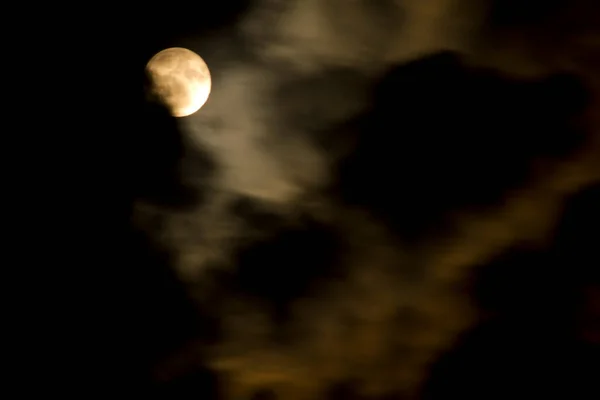 Красивый Фейерверк Черном Небе Высокое Качество Фото — стоковое фото