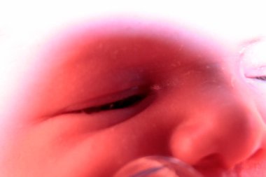 Göz ve yüzün yeni doğmuş bebek ayrıntıları. Yüksek kalite fotoğraf