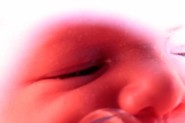 Göz ve yüzün yeni doğmuş bebek ayrıntıları. Yüksek kalite fotoğraf