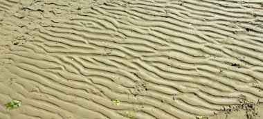 Dalgalar kumların üzerinde çekildiğinde kumdaki dalgalar. Yüksek kalite fotoğraf