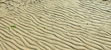 Dalgalar kumların üzerinde çekildiğinde kumdaki dalgalar. Yüksek kalite fotoğraf