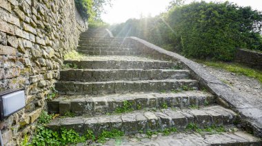 Bitkileri ve yosunları olan antik taş merdivenler. Yüksek kalite fotoğraf