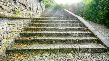 Bitkileri ve yosunları olan antik taş merdivenler. Yüksek kalite fotoğraf