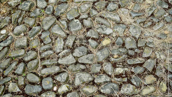 フェラーラのローマの石畳の道ローマの道 高品質の写真 — ストック写真