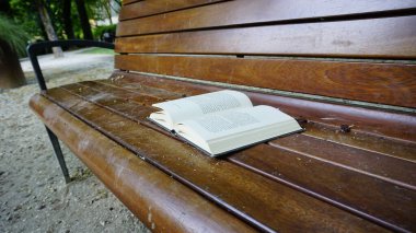 Tahta park bankında açık bir kitap bırakılmış. Yüksek kalite fotoğraf