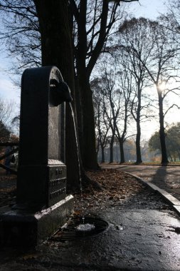Pellerina Park Torello 'sunda Torin içme suyu çeşmesi. Yüksek kalite fotoğraf
