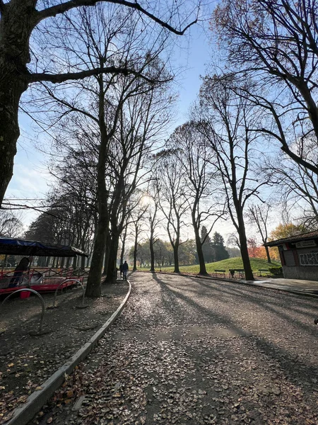 Park Der Pellerina Torino Allee Mit Bäumen Gesäumt Hochwertiges Foto — Stockfoto