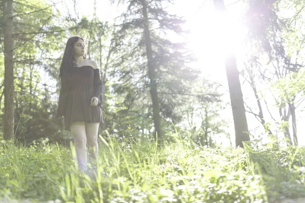 Güzel kız kısa kahverengi elbiseyle ormanda yalınayak yürüyor. Yüksek kalite fotoğraf
