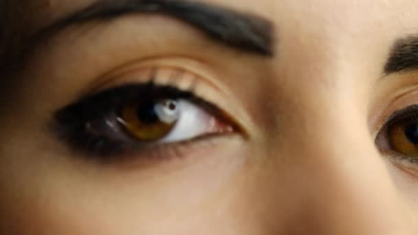 Beautiful Brown Eyes Girl Black Eyelashes Look Pupil — стоковое видео