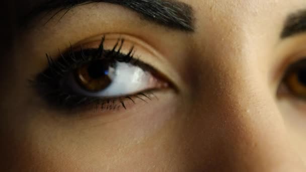Beautiful Brown Eyes Girl Black Eyelashes Look Pupil — стоковое видео