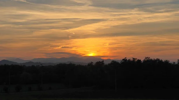 Wunderschöner Sonnenuntergang Mit Buntem Himmel Und Grashalmen Und Stacheln Hochwertiges — Stockfoto