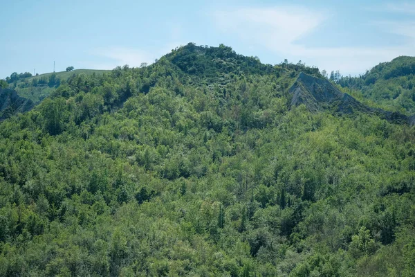 Панорама Кватро Кастелла Реджо Емілія Зелених Пагорбів Сонячний День Фотографія — стокове фото