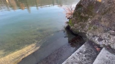 Torino 'daki Valentino Parkı' nın oradaki rıhtımın kenarında. Yüksek kalite 4k görüntü