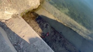 Torino 'daki Valentino Parkı' ndaki nehir kıyısındaki iskelenin kenarında.