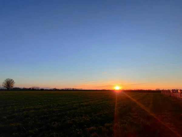 Wunderschöner Sonnenuntergang Mit Buntem Himmel Und Grashalmen Und Stacheln Hochwertiges — Stockfoto