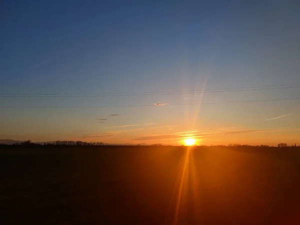 Hermoso Atardecer Con Cielo Colorido Hojas Hierba Espigas Foto Alta —  Fotos de Stock