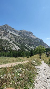 Val di Susa Vallee Etroite 'deki yeşil göle giden yol. Yüksek kalite fotoğraf