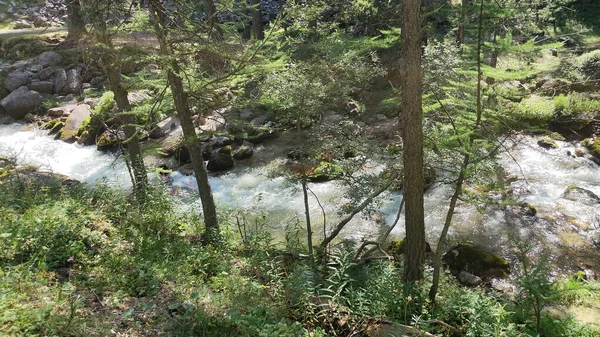 Rio Lago Verde Della Val Susa Vallee Etroite Foto Alta — Foto Stock