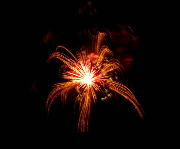 Hermosos Fuegos Artificiales Cielo Negro Foto Alta Calidad — Foto de Stock