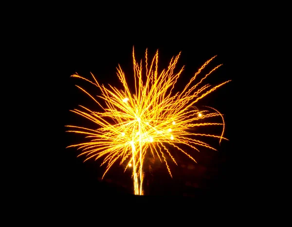 Hermosos Fuegos Artificiales Cielo Negro Foto Alta Calidad — Foto de Stock