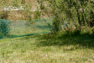 Orman manzaralı ormanda paintball oyuncusu maske ve işaret takarak oyun kuruyor. Yüksek kalite fotoğraf