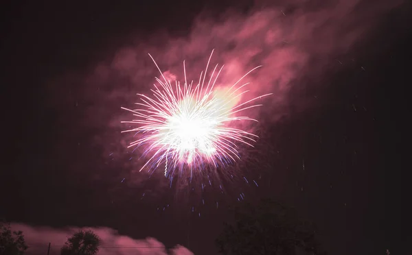 Feuerwerk Vor Schwarzem Himmel Hochwertiges Foto — Stockfoto
