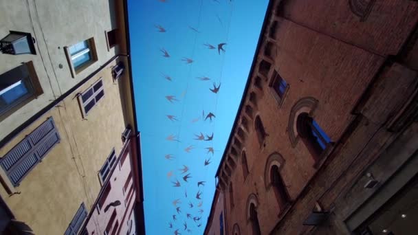 Schwalben Hängen Den Straßen Eines Historischen Zentrums Italiens — Stockvideo