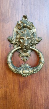 Aslan başlı sürgü. Yüksek kalite fotoğraf