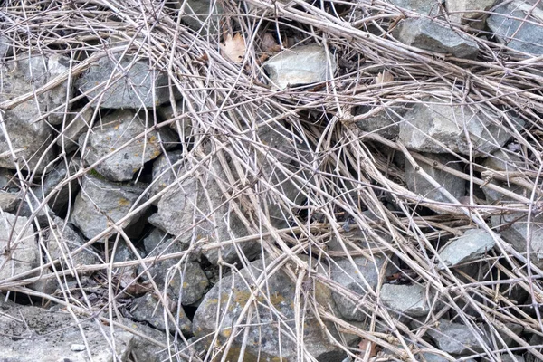 Kameny Skály Sesuvu Půdy Horách Kvalitní Fotografie — Stock fotografie