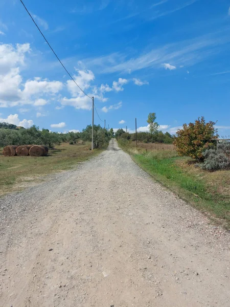 Campos Colinas Viñedos Largo Vía Francigena Toscana Foto Alta Calidad — Foto de Stock