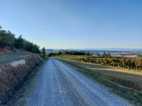 Campos Colinas Vinhas Longo Francigena Toscana Foto Alta Qualidade — Fotografia de Stock