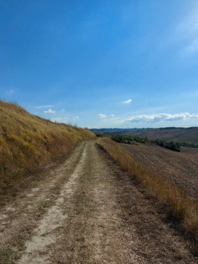 Francigena üzerinden Toskana 'daki tarlalar, tepeler ve üzüm bağları. Yüksek kalite fotoğraf