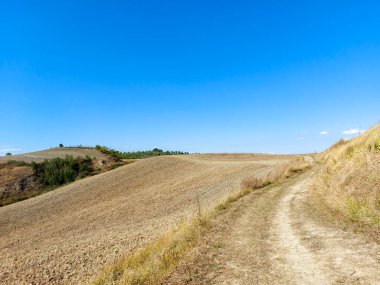 Francigena üzerinden Toskana 'daki tarlalar, tepeler ve üzüm bağları. Yüksek kalite fotoğraf