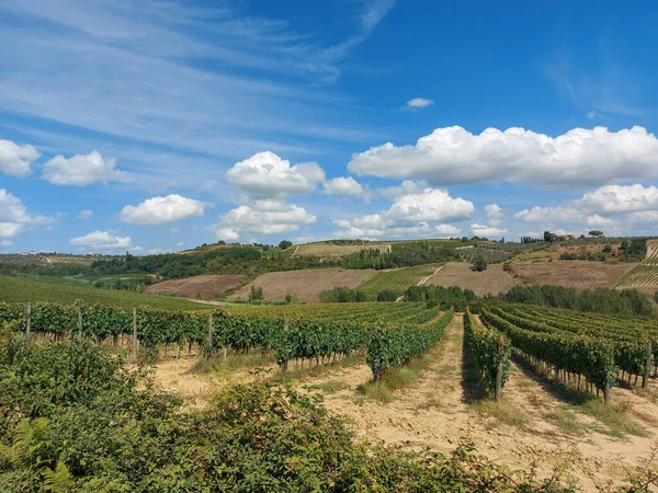 Pola Wzgórza Winnice Wzdłuż Francigena Toskanii Wysokiej Jakości Zdjęcie — Zdjęcie stockowe