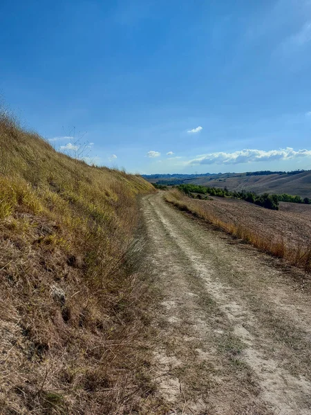 Campos Colinas Viñedos Largo Vía Francigena Toscana Foto Alta Calidad — Foto de Stock