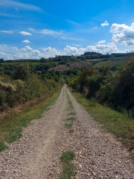 Campos Colinas Viñedos Largo Vía Francigena Toscana Foto Alta Calidad — Foto de Stock