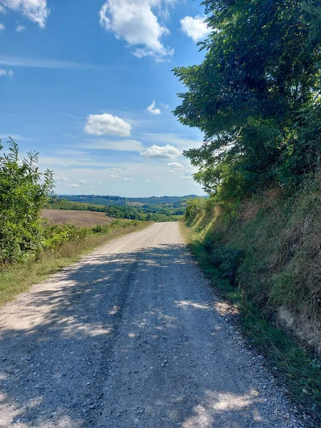 Campos Colinas Viñedos Largo Vía Francigena Toscana Foto Alta Calidad — Foto de Stock