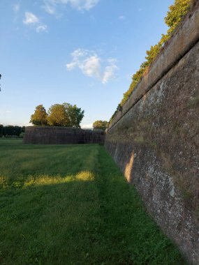 Francigena üzerinden Toskana 'daki tarlalar, tepeler ve üzüm bağları. Yüksek kalite fotoğraf